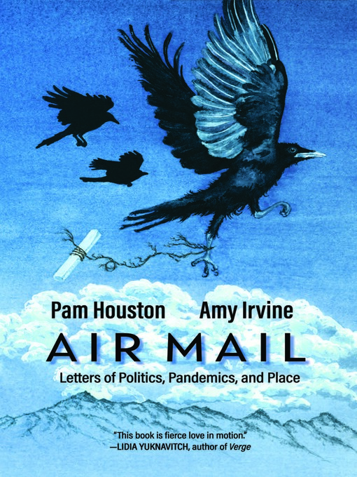 Cover image for Air Mail